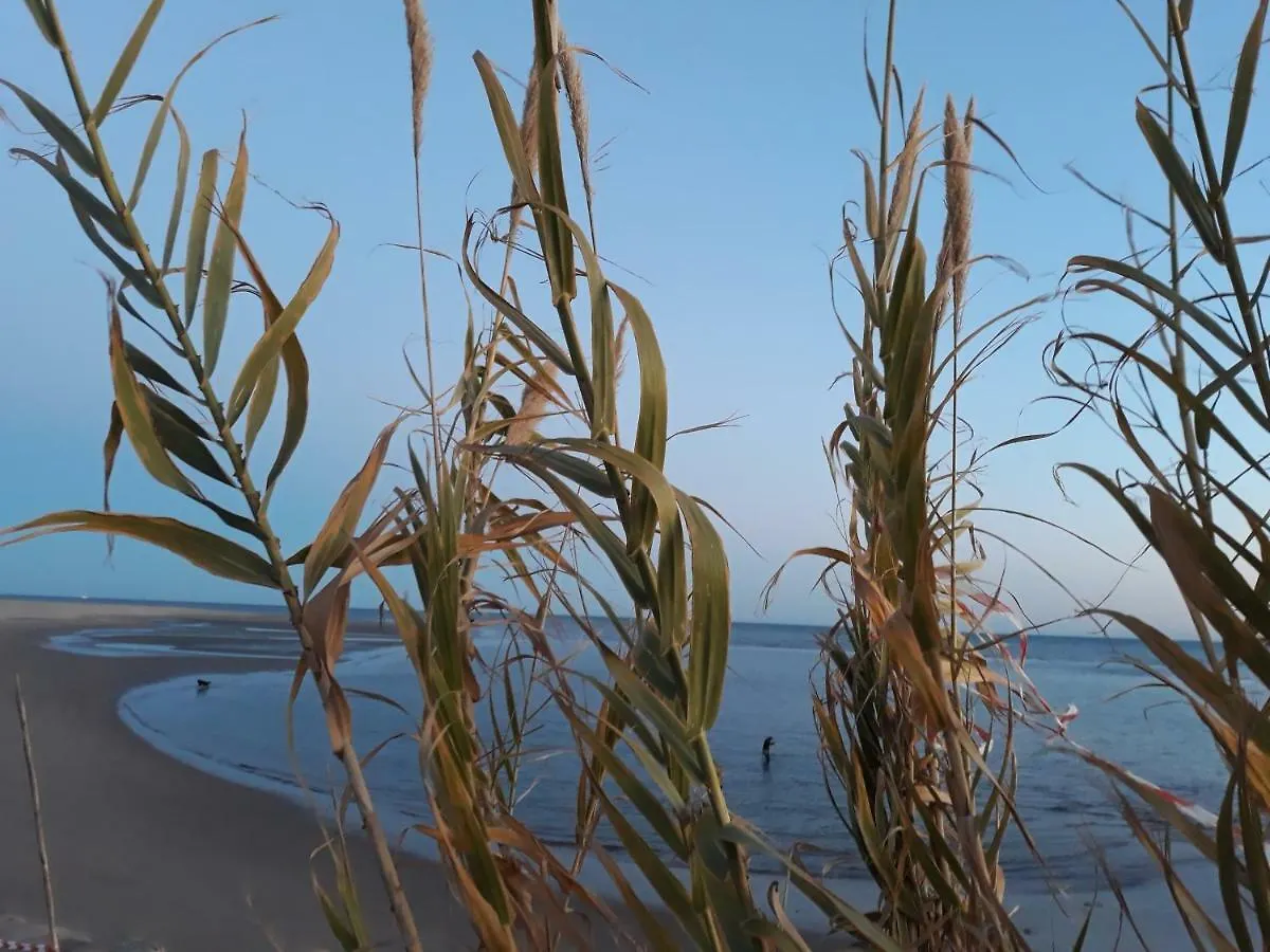 Rincon Canela Ayamonte